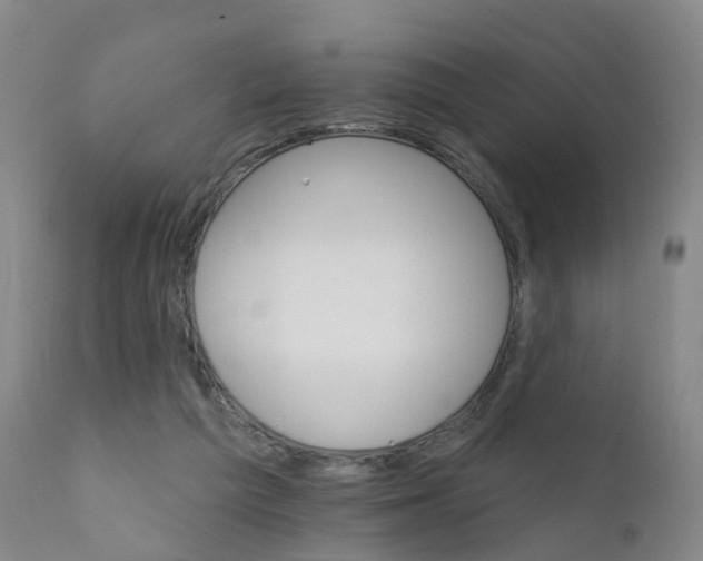 X0000111930209200908241123