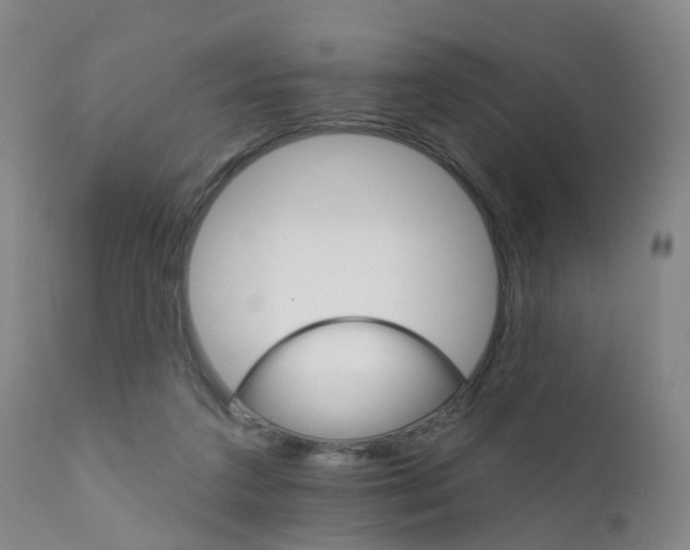 X0000111930211200908241123