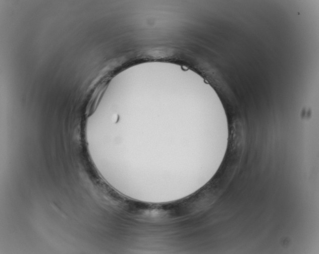 X0000111930212200908241123