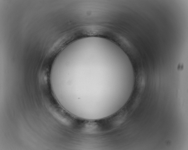 X0000111930214200908241123