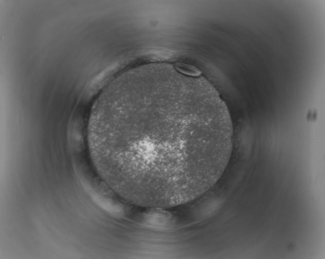 X0000111930215200908241123