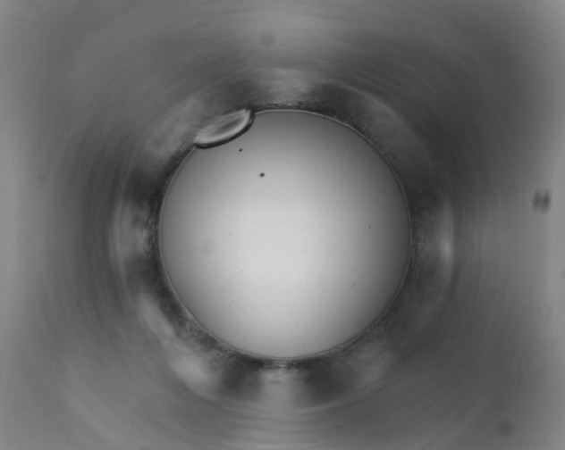 X0000111930216200908241123