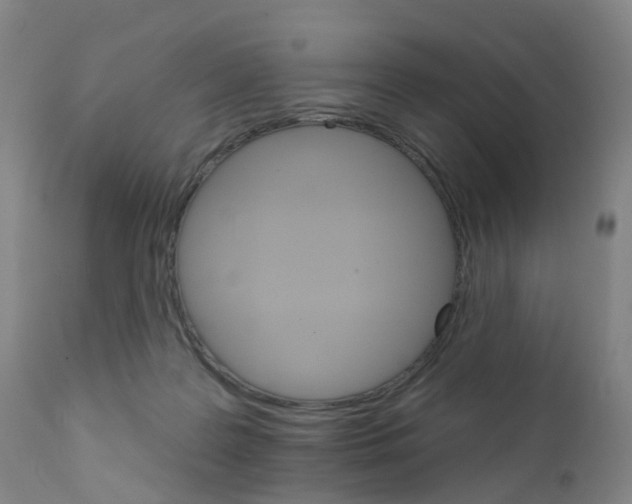 X0000111930219200908241123