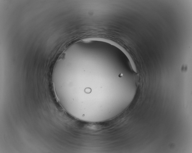 X0000111930221200908241123