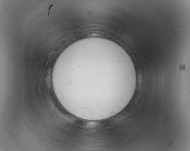 X0000111930222200908241123