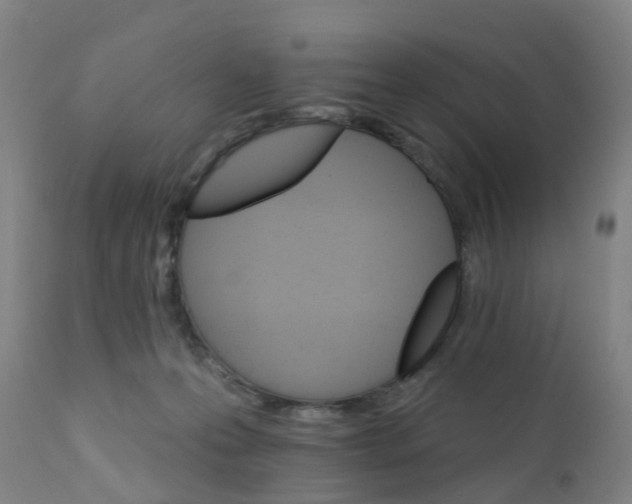 X0000111930223200908241123