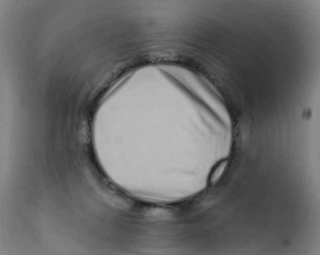 X0000111930224200908241123