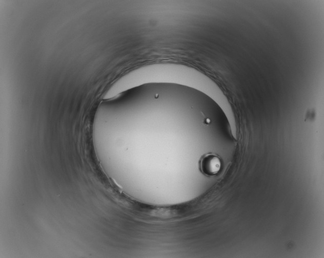 X0000111930225200908241123