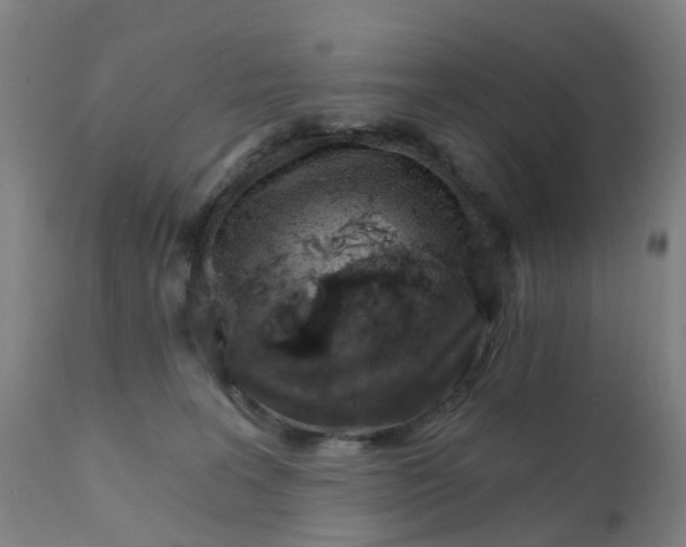 X0000111930227200908241123