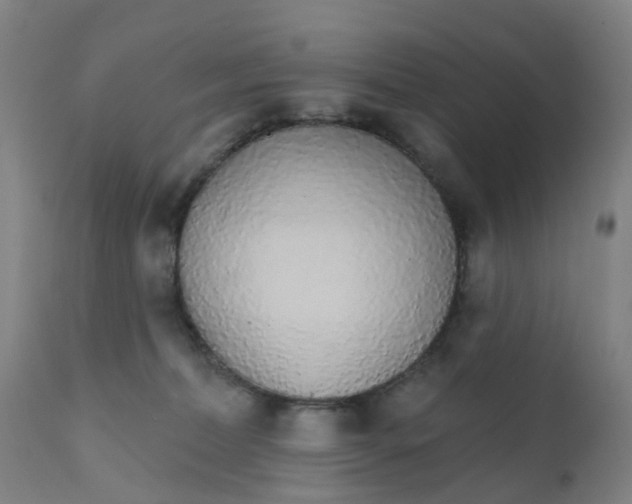 X0000111930228200908241123