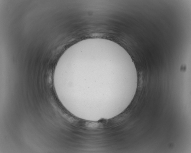 X0000111930230200908241123