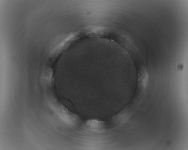 X0000111930231200908241123