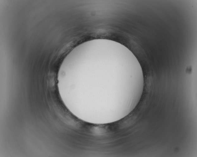 X0000111930232200908241123