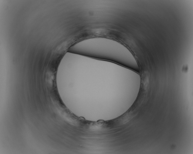 X0000111930235200908241123