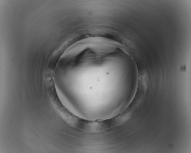 X0000111930237200908241123