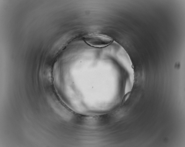 X0000111930238200908241123