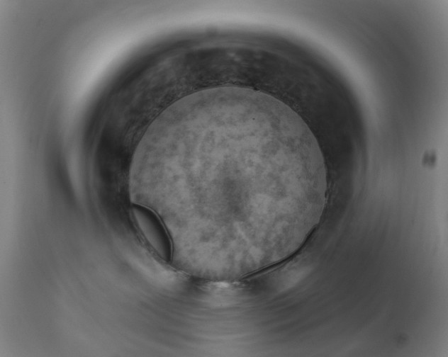 X0000111930239200908241123