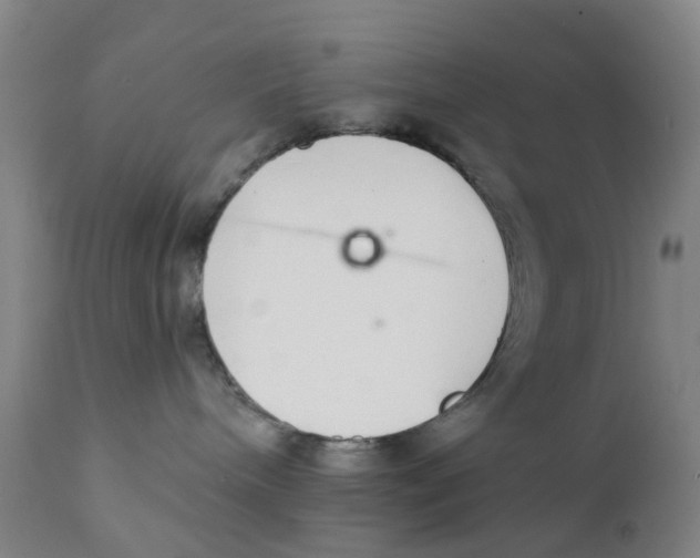 X0000111930240200908241123