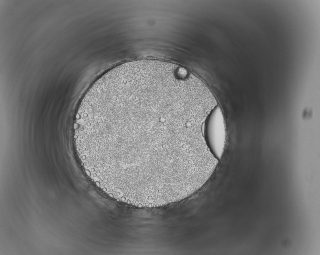 X0000111930241200908241122