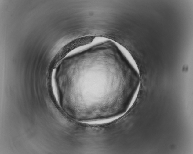 X0000111930242200908241122