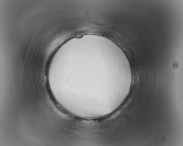 X0000111930245200908241122