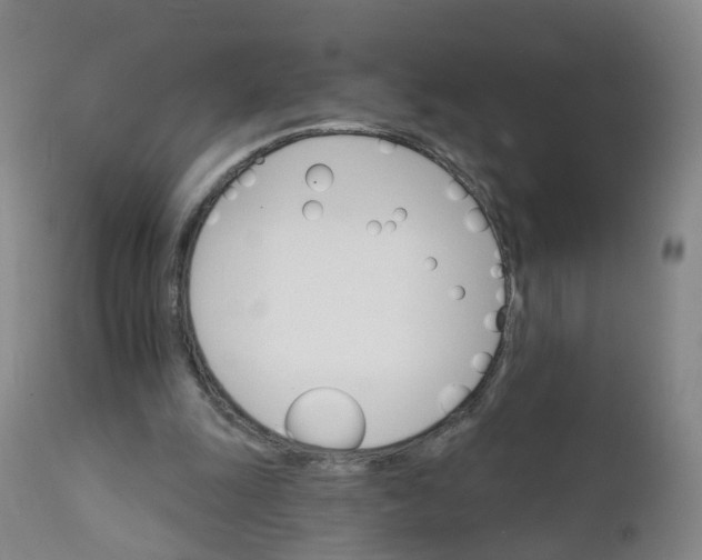 X0000111930247200908241122