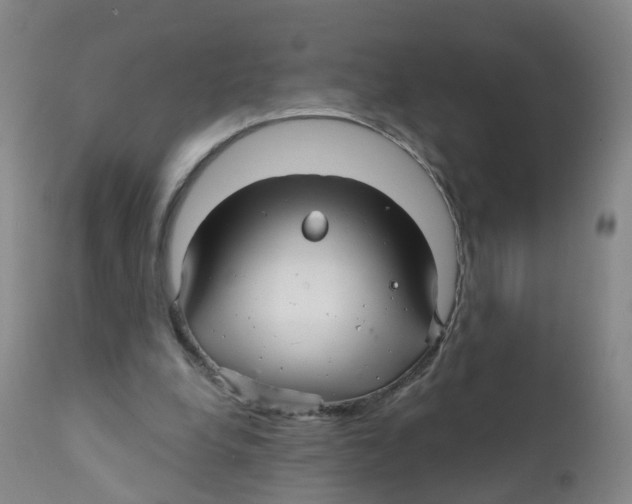 X0000111930248200908241122