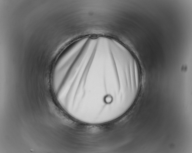 X0000111930249200908241122