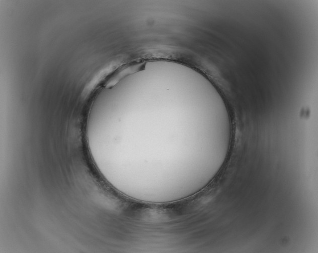 X0000111930250200908241122