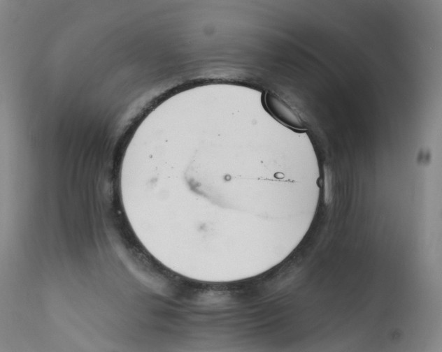 X0000111930252200908241122