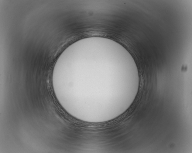 X0000111930255200908241122