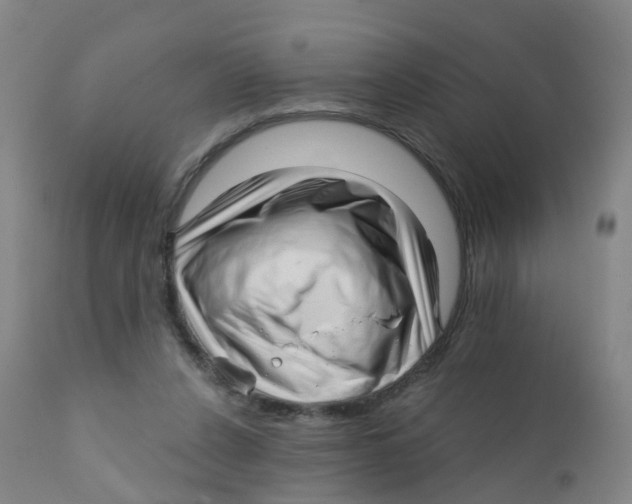 X0000111930256200908241122