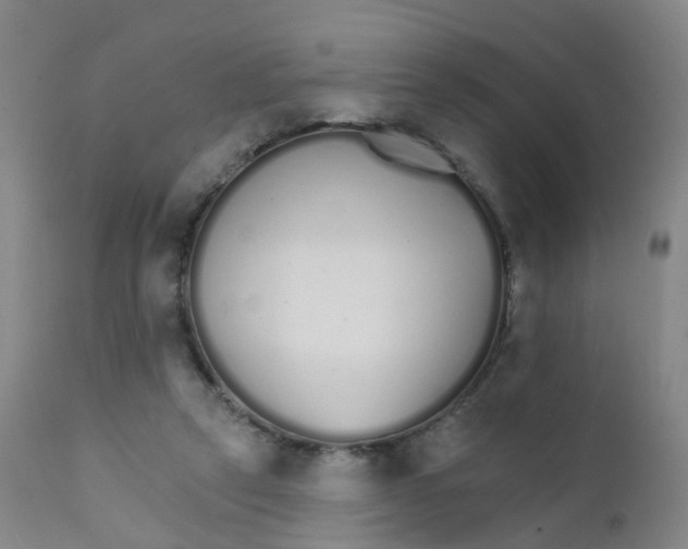 X0000111930257200908241122