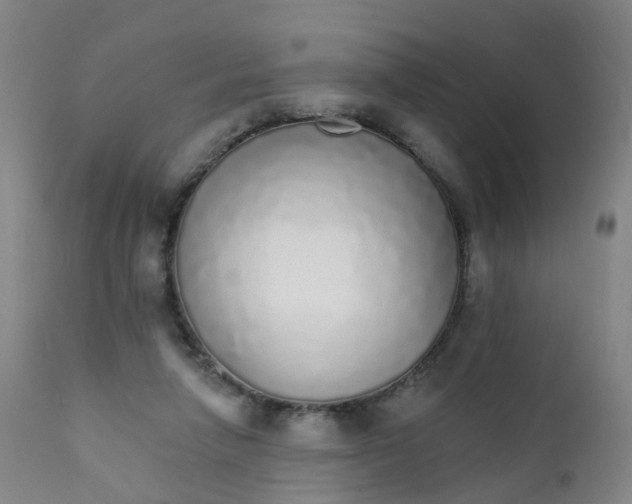 X0000111930258200908241122