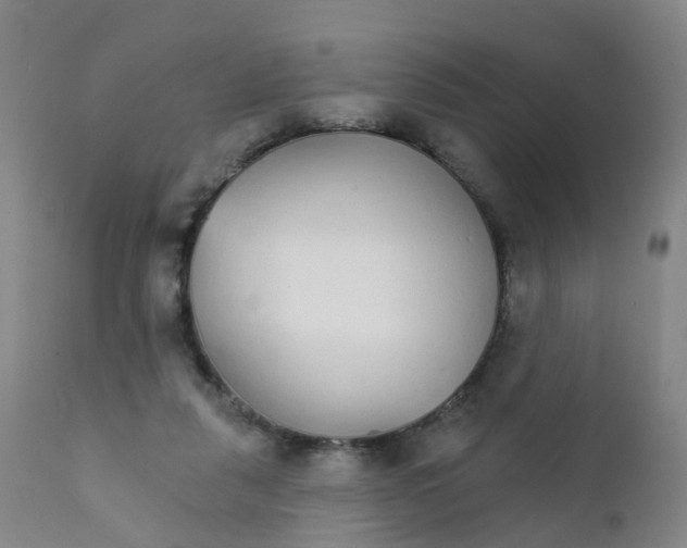 X0000111930259200908241122