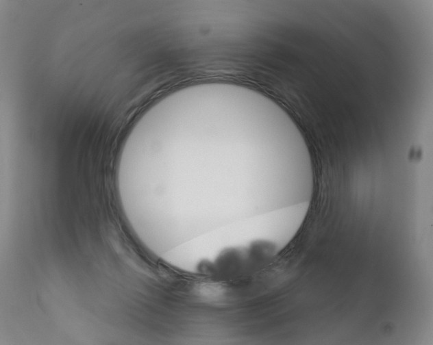 X0000111930262200908241122