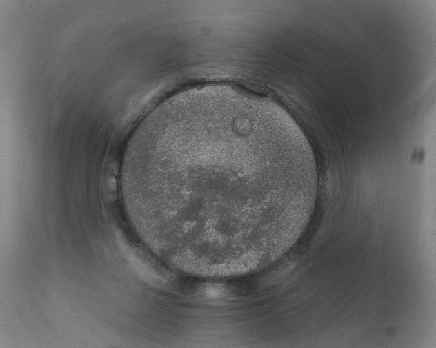 X0000111930264200908241122