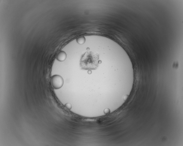 X0000111930265200908241122