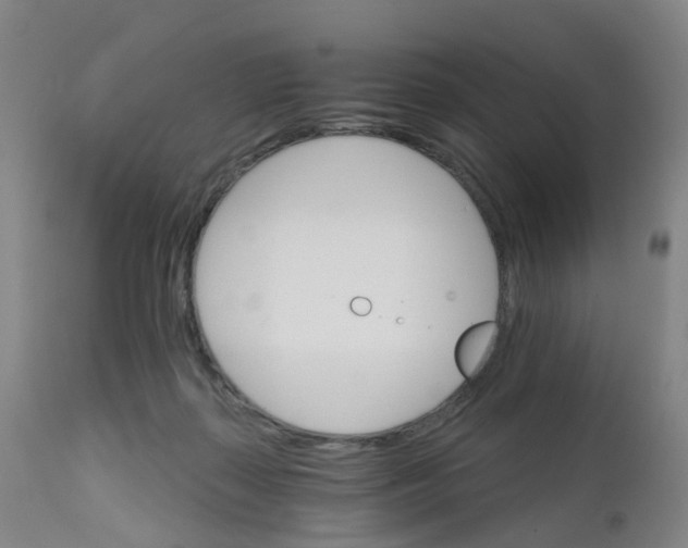 X0000111930267200908241122