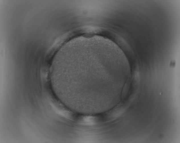 X0000111930268200908241122