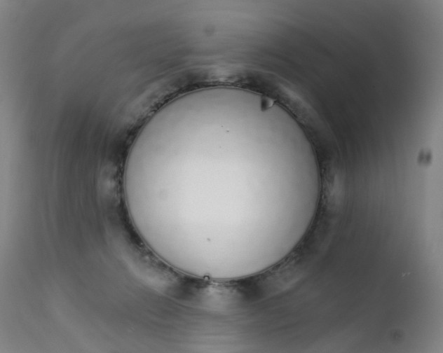 X0000111930270200908241122