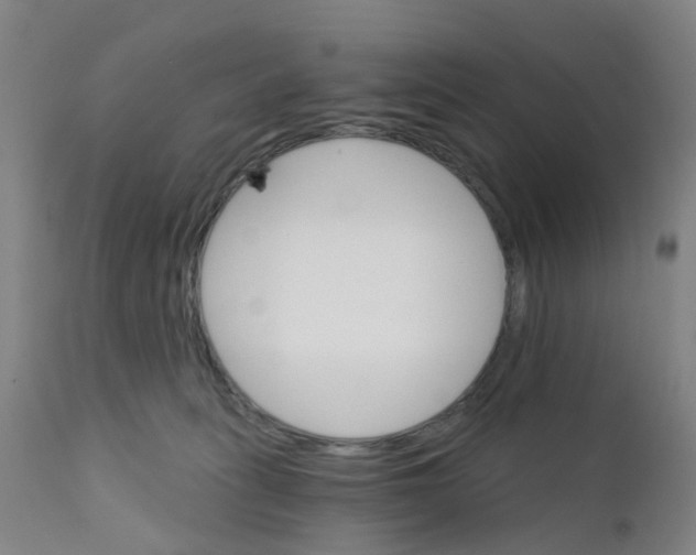 X0000111930275200908241122