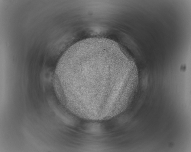 X0000111930276200908241122