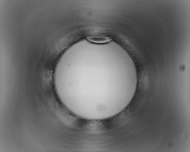 X0000111930278200908241122