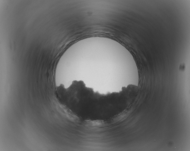 X0000111930282200908241123