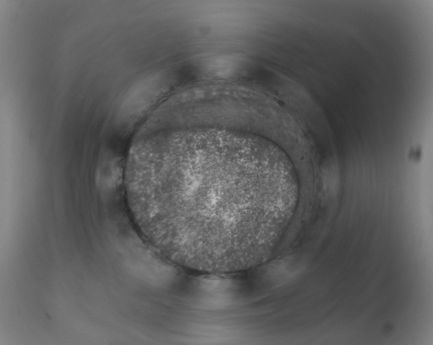 X0000111930284200908241123