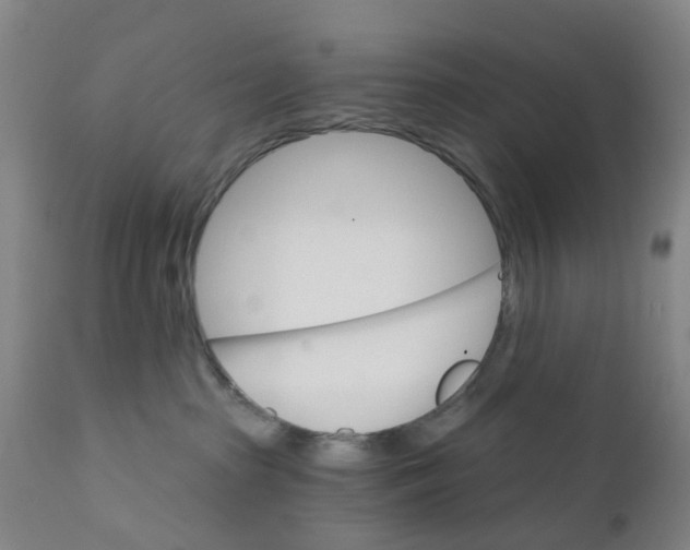 X0000111930285200908241123