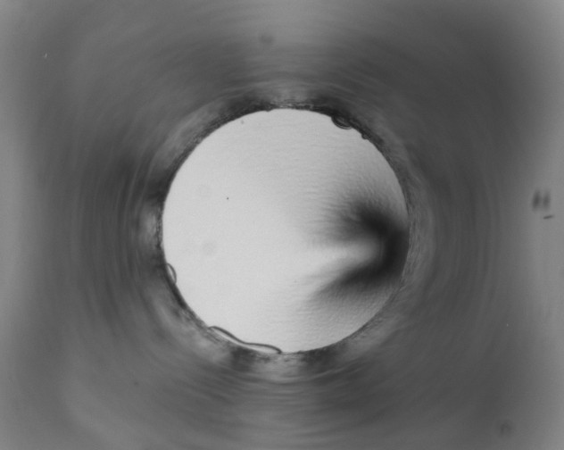 X0000111930288200908241123