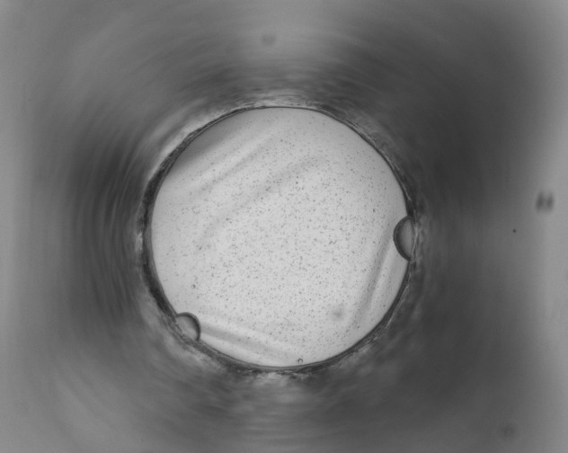 X0000111930290200908241122