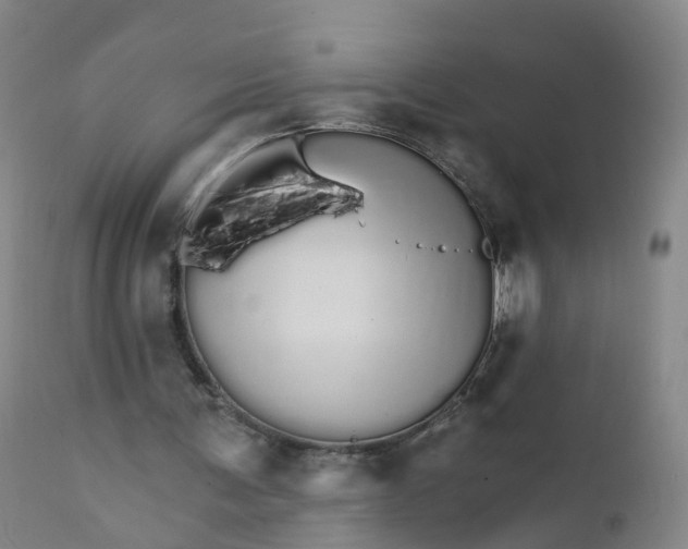 X0000111930291200908241122